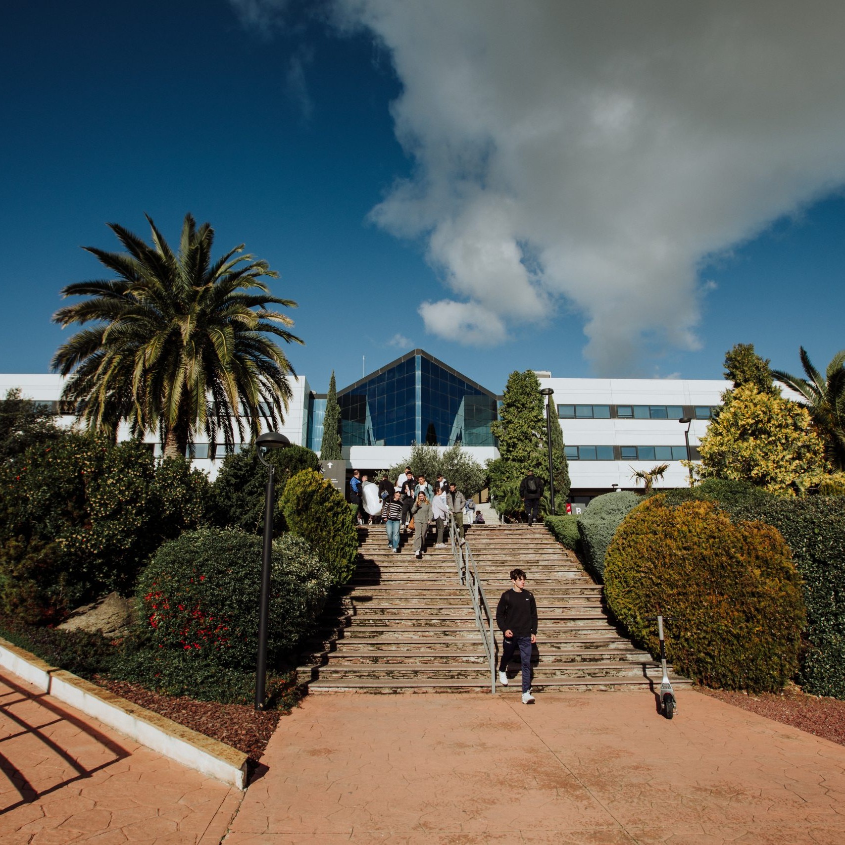 Universidad Europea de Madrid (UEM)